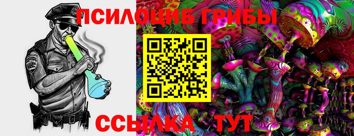 Скопин  Псилоцибиновые грибы GOLDEN TEACHER  Псилоцибиновые грибы ЛСД  Вход с VPN 